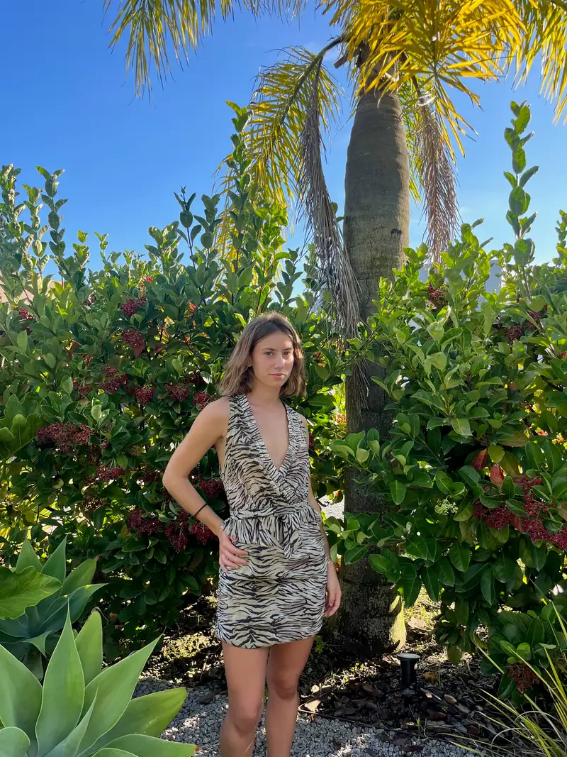 Vestido 12 - IRO